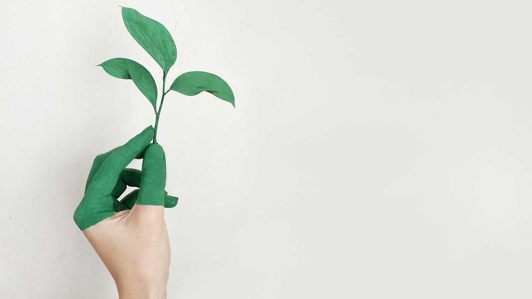 Gestes éco-responsables, comment protéger notre planète à notre échelle ? - Panier des Sens