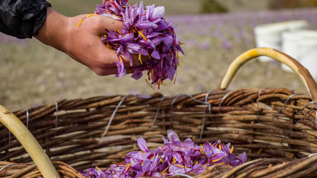 Tous les bienfaits du safran dans la cosmétique - Panier des Sens