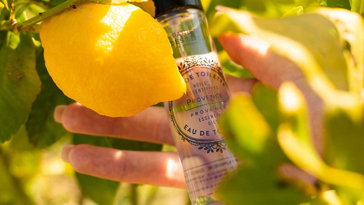Soins du corps Provence - Panier des Sens