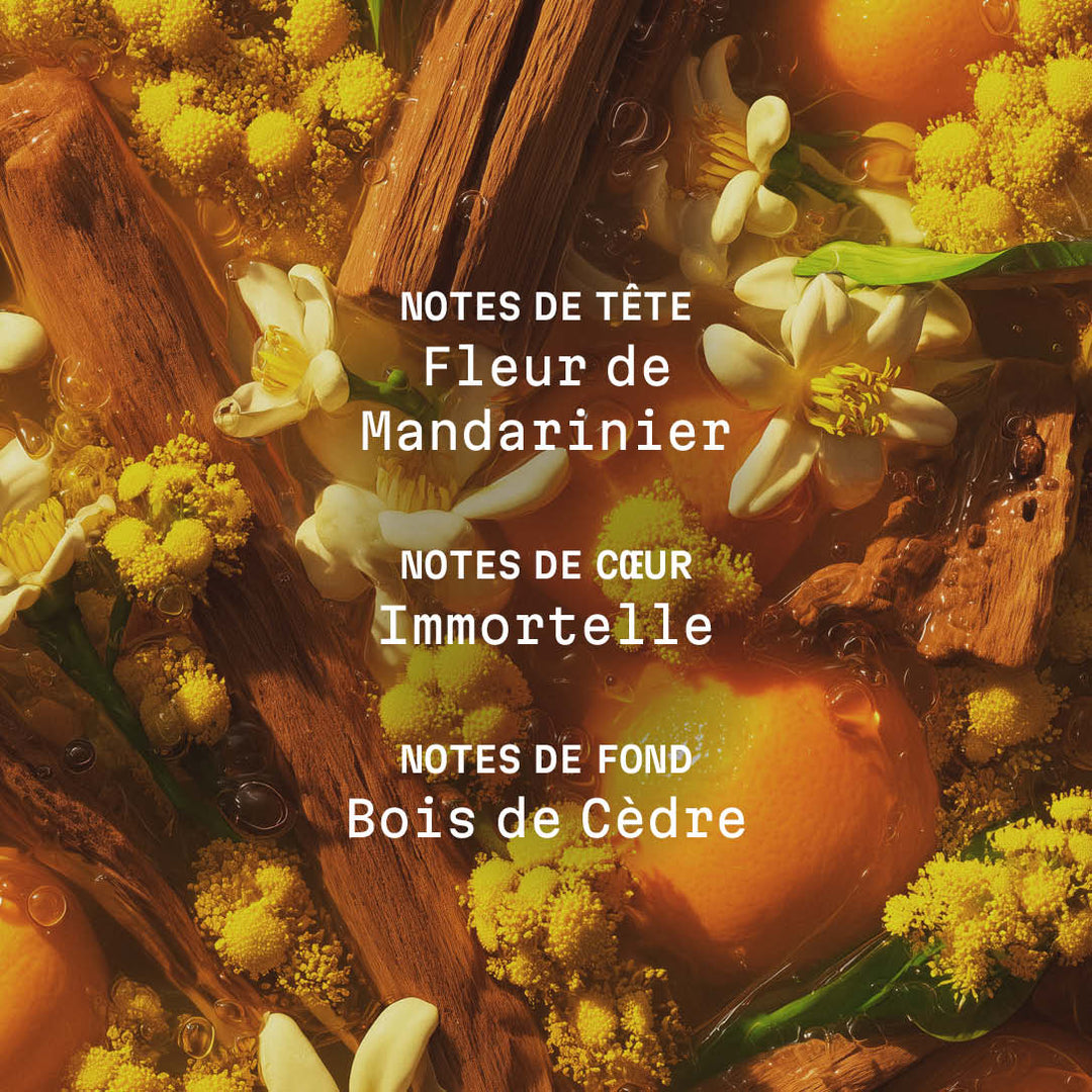 Crème corps parfumée Bois de la Sierra - 150ml - Panier des Sens