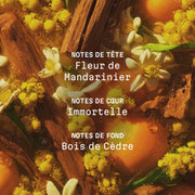 Crème corps parfumée Bois de la Sierra - 150ml - Panier des Sens