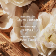 Crème corps parfumée Musc des Sables - 150ml - Panier des Sens