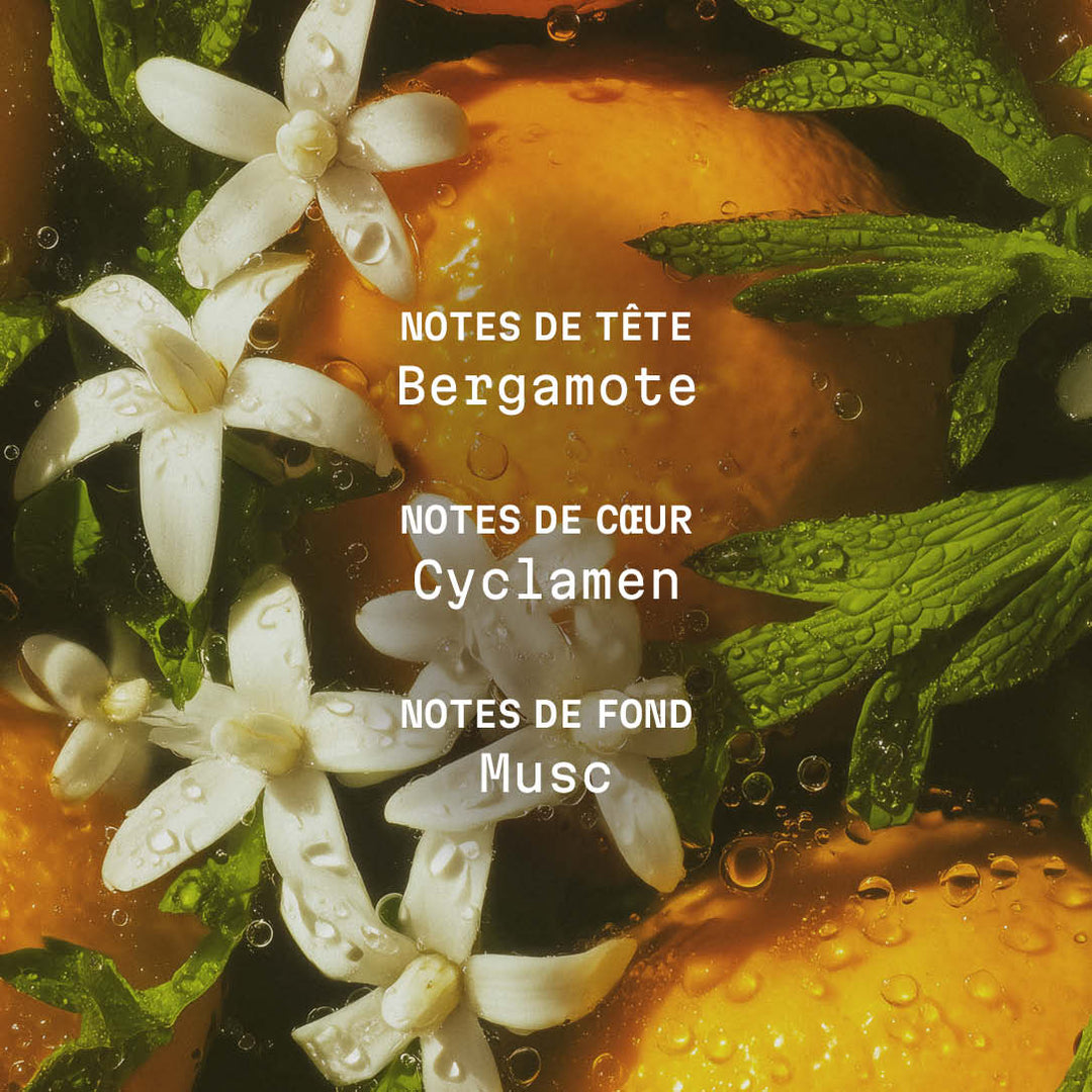 Crème corps parfumée Zeste Riviera - 150ml - Panier des Sens