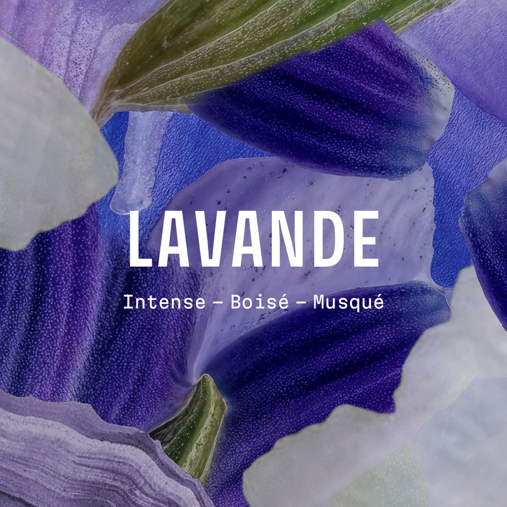 Crème pour les mains - Lavande 30ml - Panier des Sens