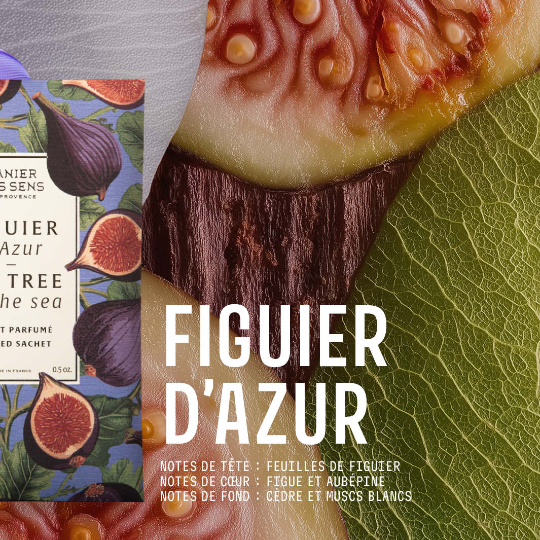 Sachet parfumé 15g Figuier d'azur - Panier des Sens